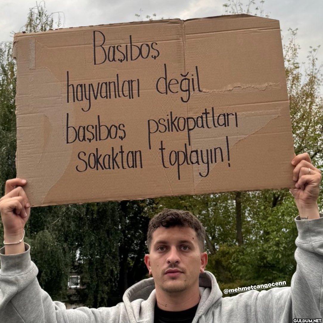 Basibos hayvanları değil...