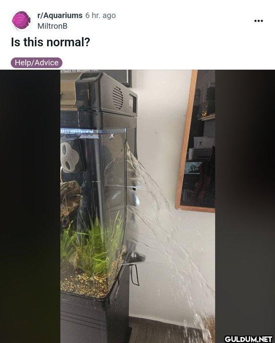 Popular post