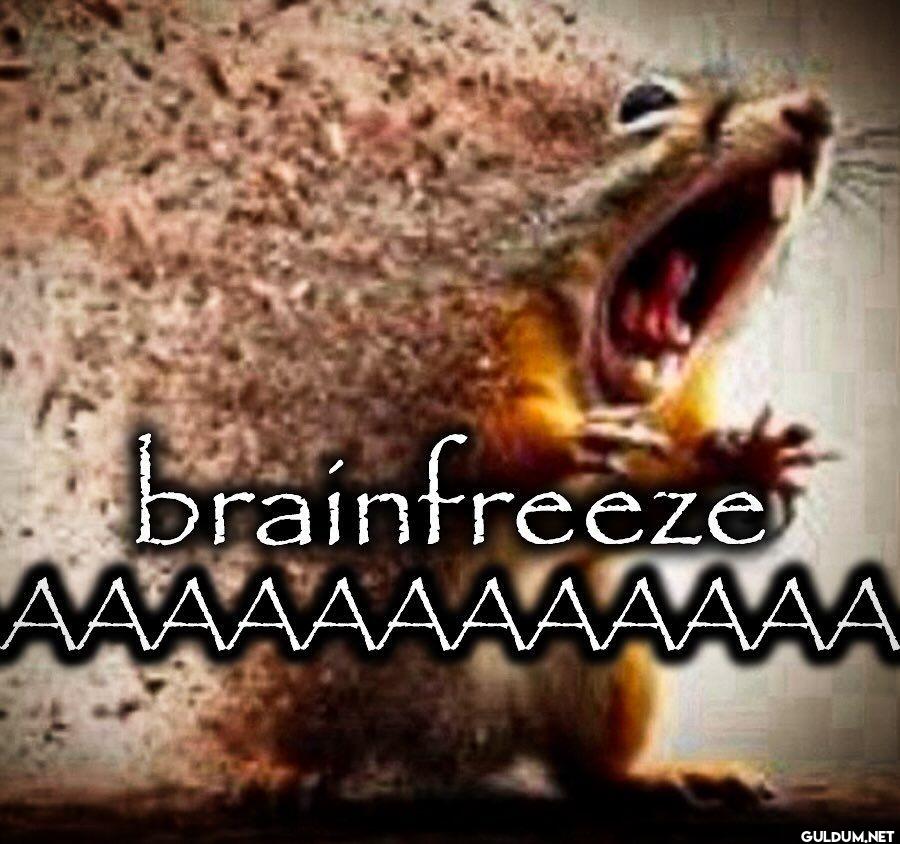brainfreeze AAAAAAAAAAAAAAAAA