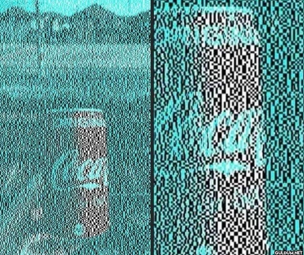 There is no red in this picture
