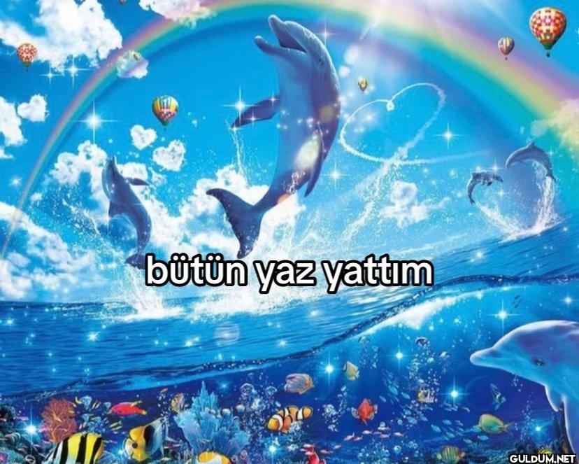 bütün yaz yattım