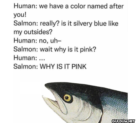 Human: we have a color...