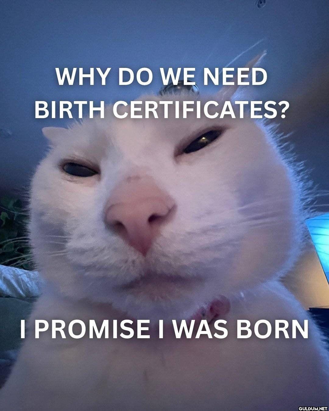 WHY DO WE NEED BIRTH...