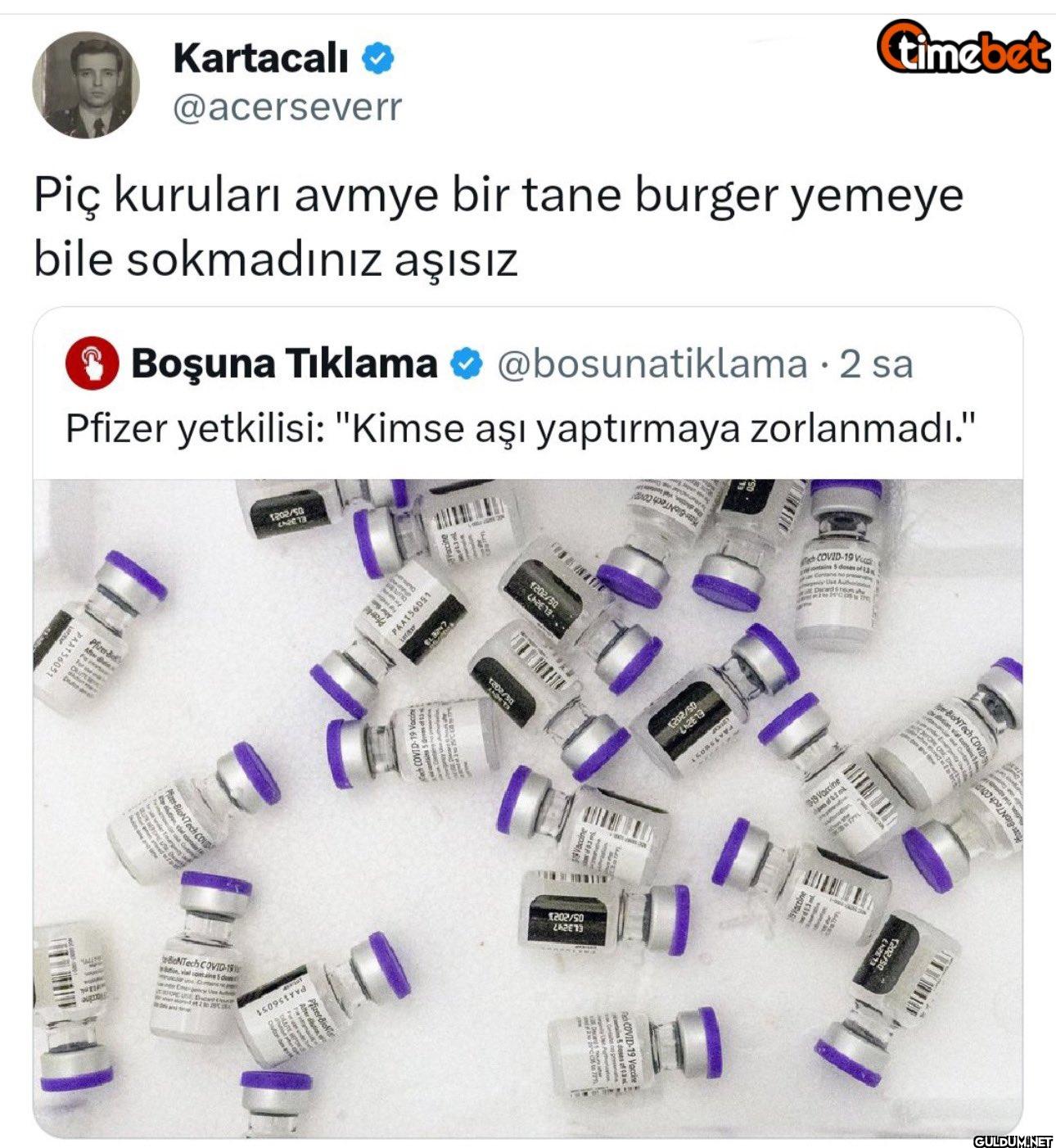 timebet Piç kuruları avmye...