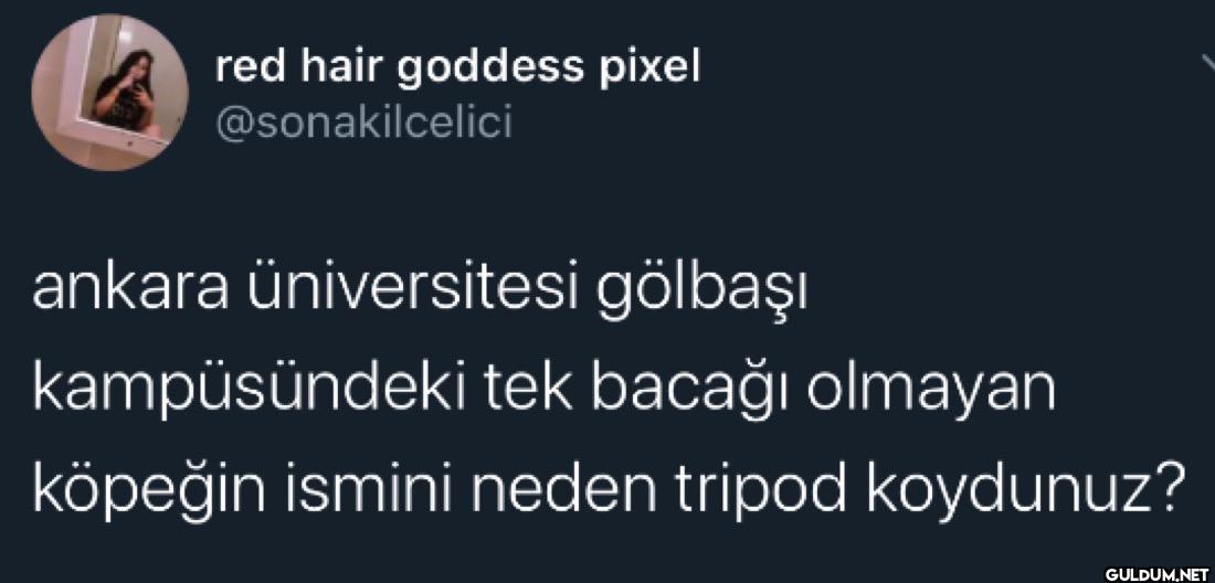 ankara Üniversitesi...
