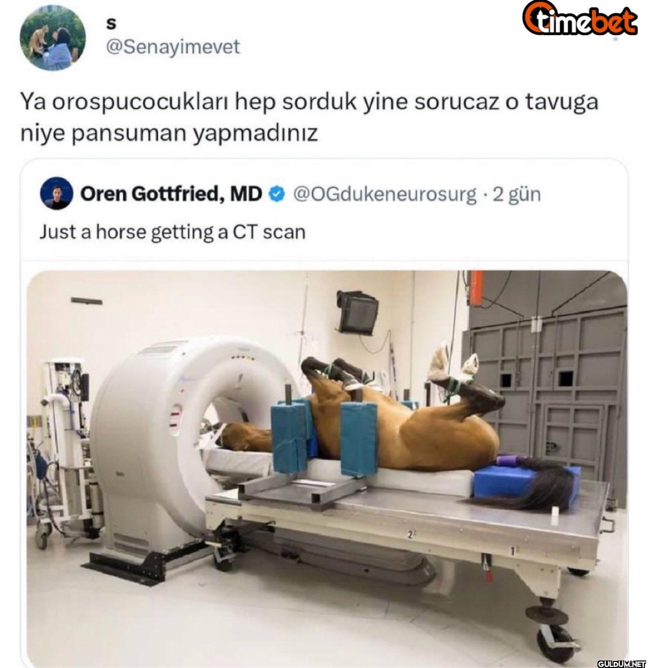 timebet Ya orospucocukları...
