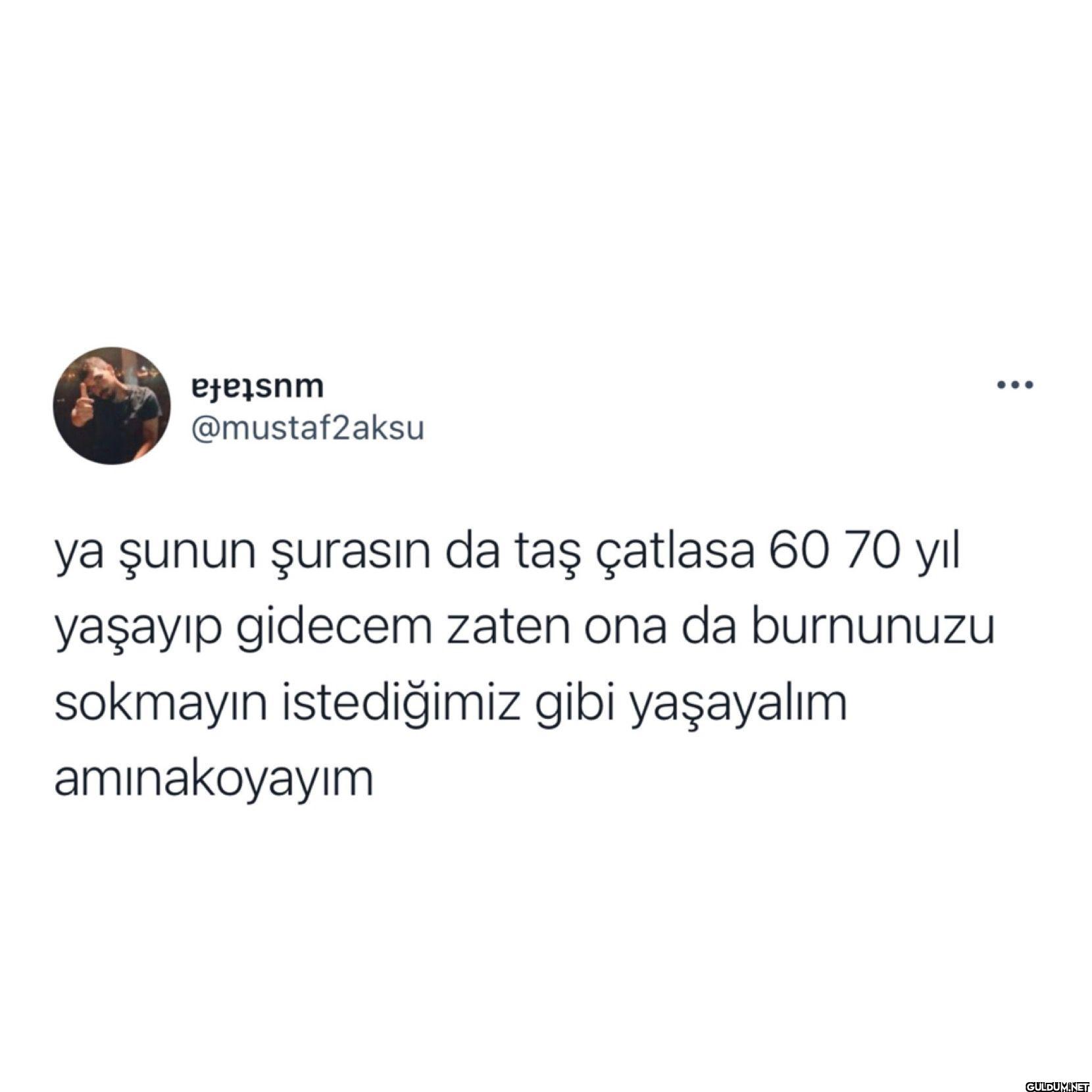 ya şunun şurasın da taş...