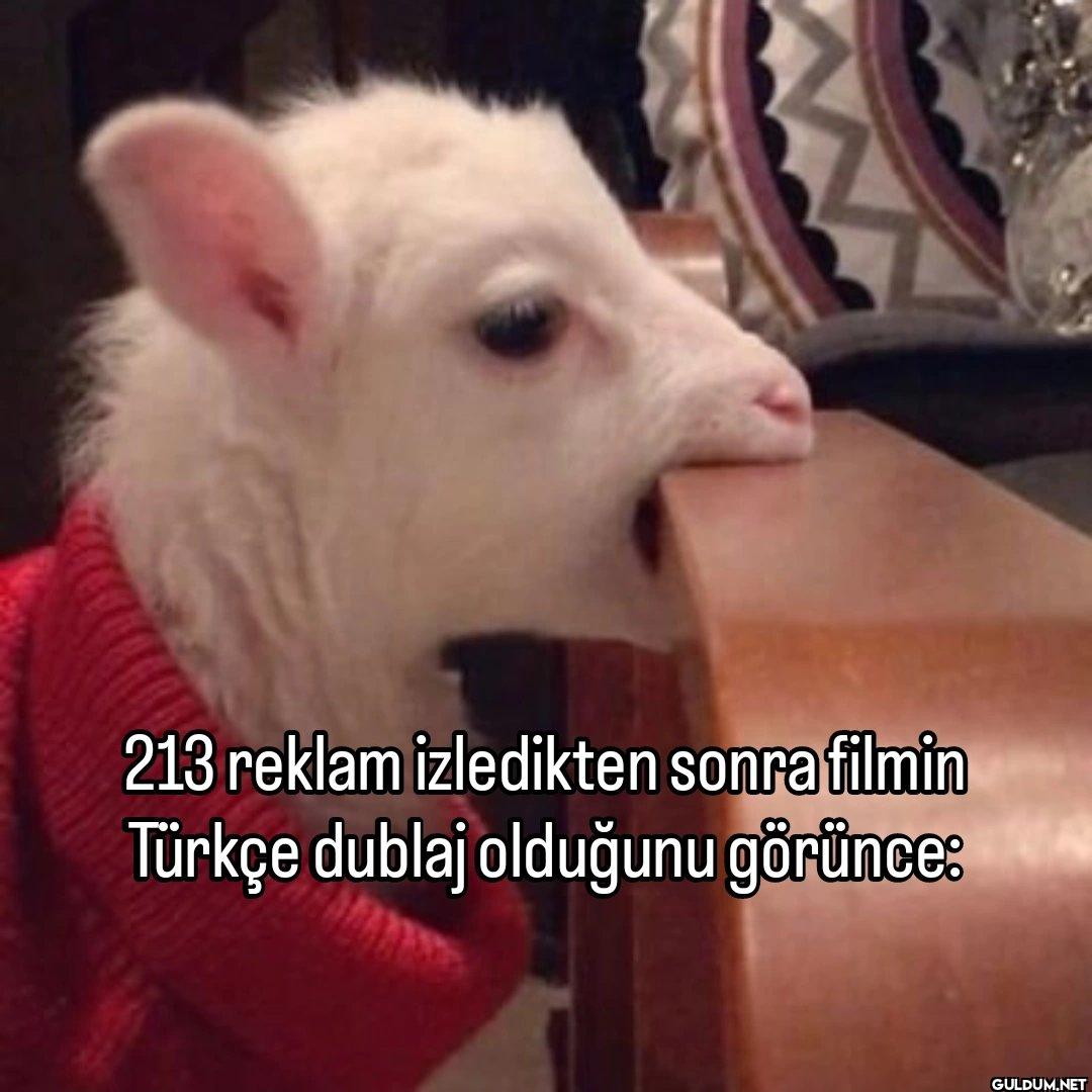 213 reklam izledikten...