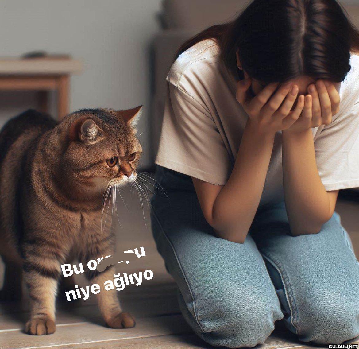 Bu oru niye ağlıyo