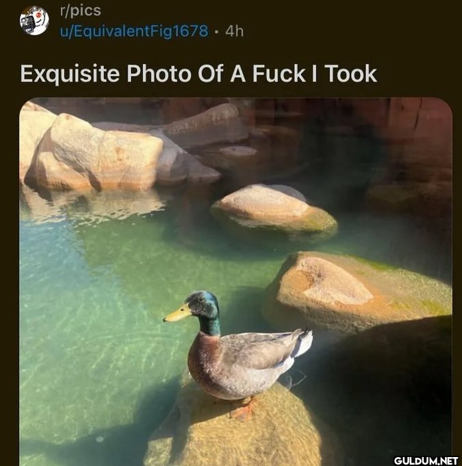 r/pics...