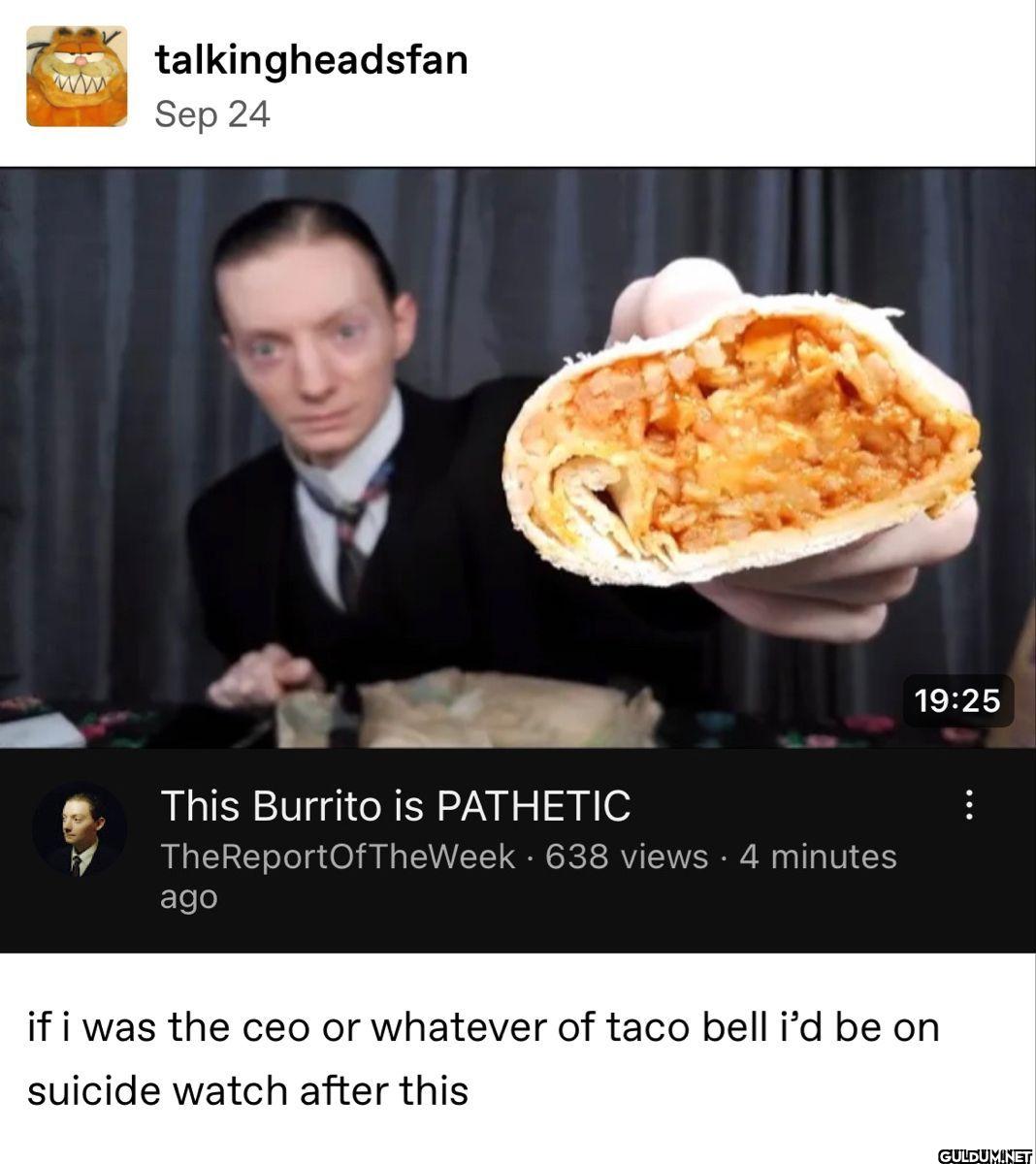 talkingheadsfan This...