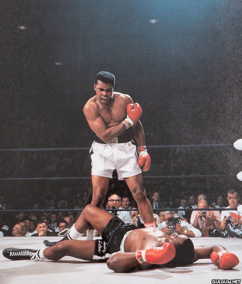 What is the most iconic...