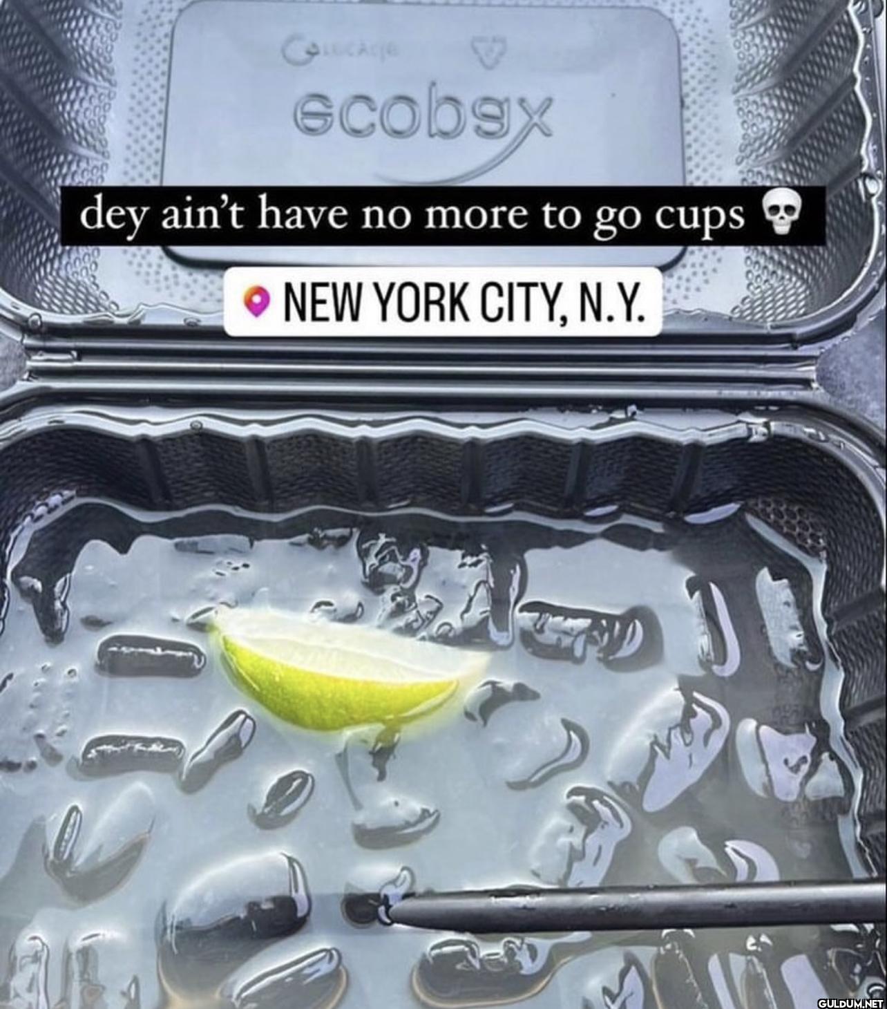ecobsx dey ain't have no...