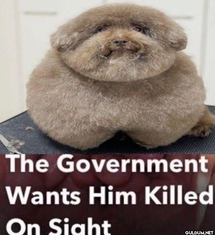The Government Wants Him...