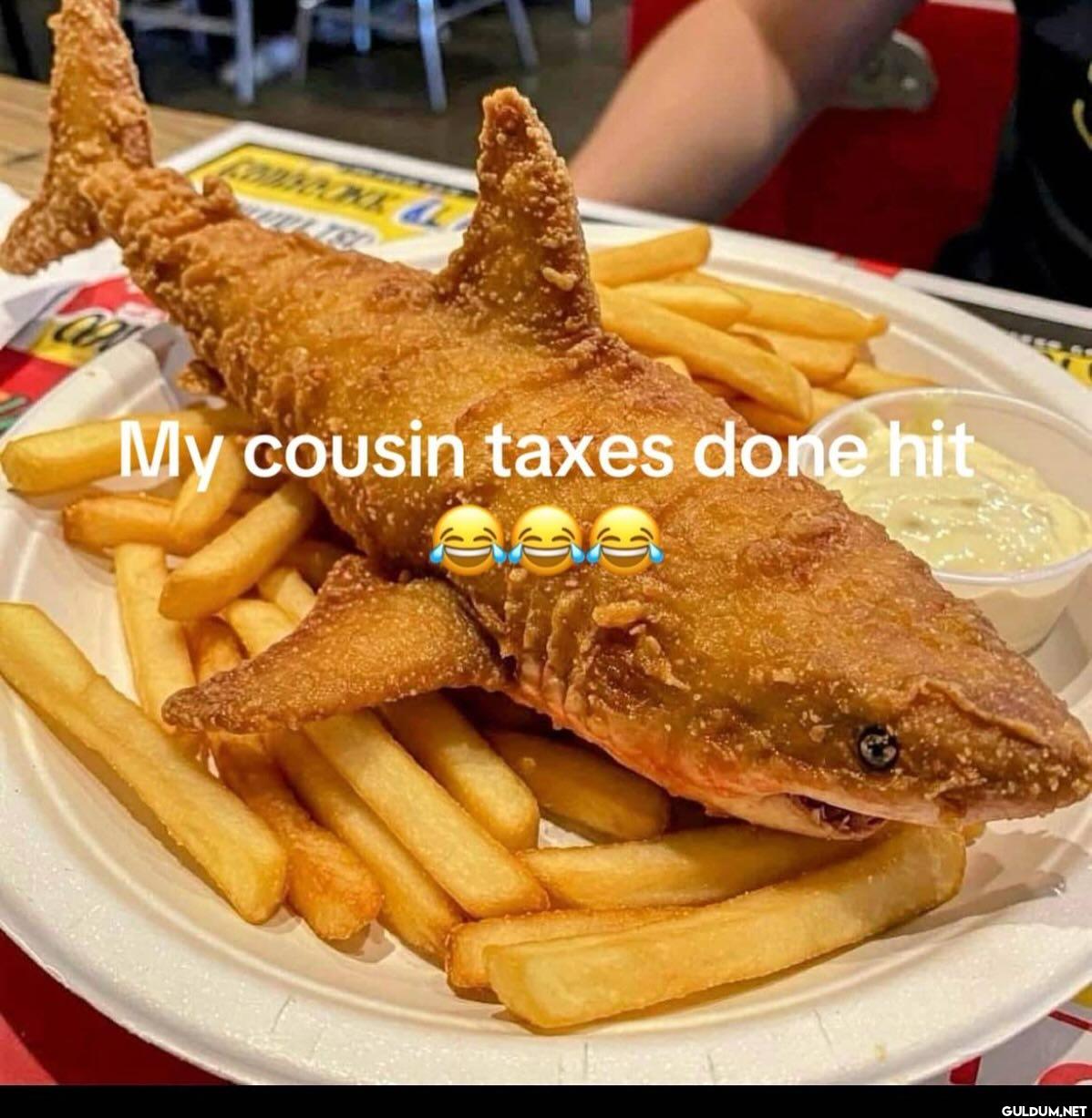 LISC My cousin taxes done hit