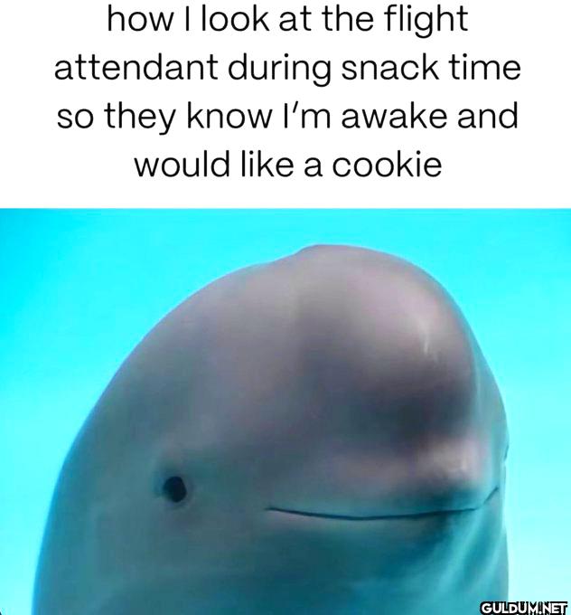 ︎ ︎ ︎ ︎ ︎ ︎ ︎ ︎ ︎ ︎ ︎ ︎ ︎...