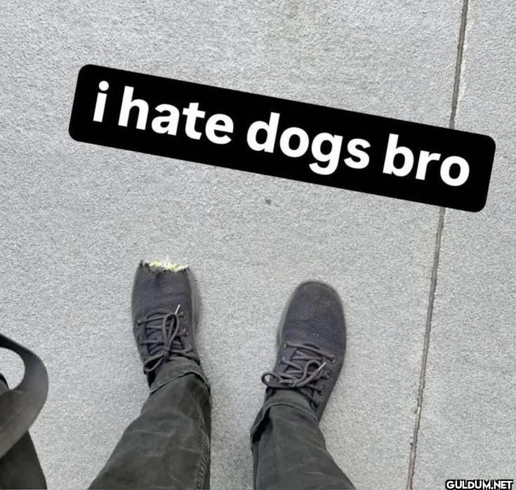 i hate dogs bro
