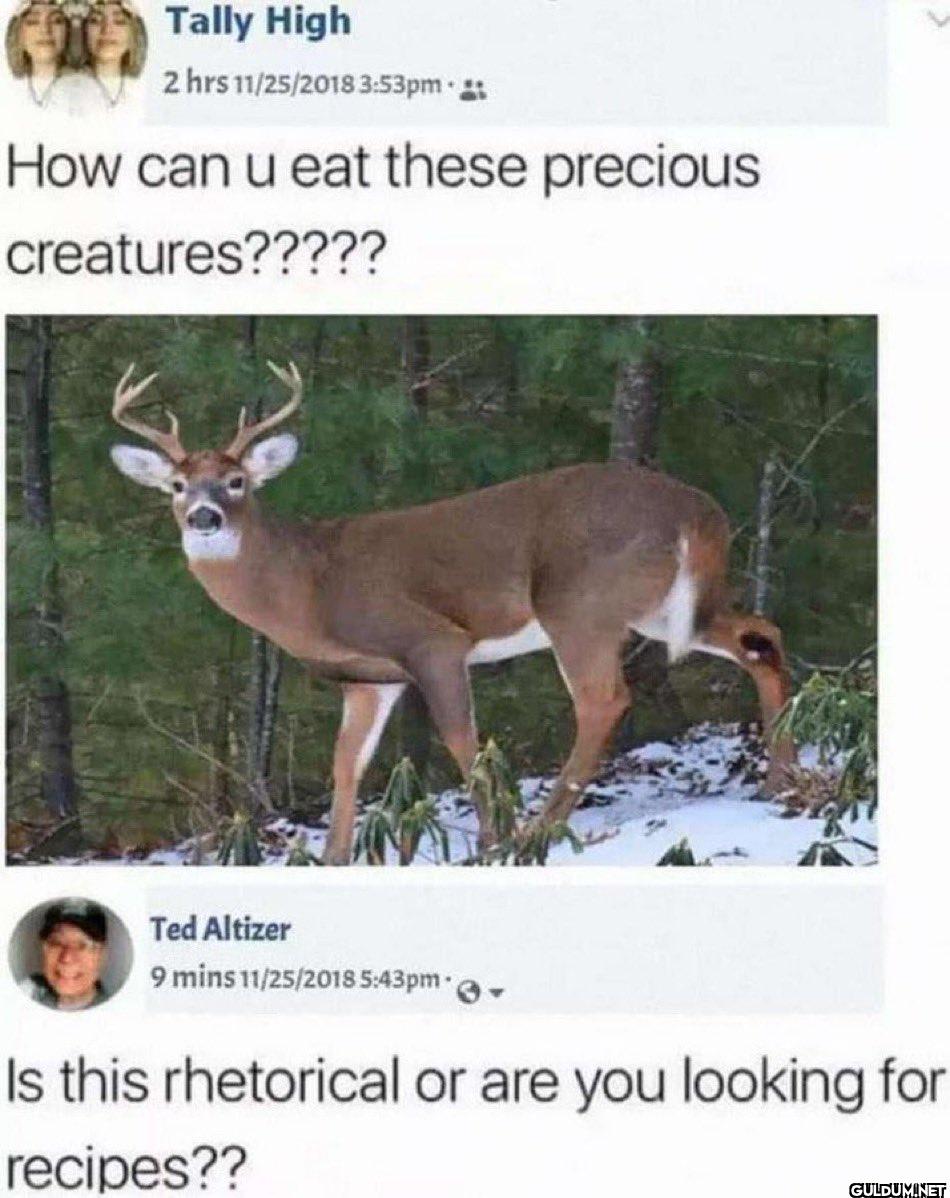 😂😂🤦‍♂️🤦‍♂️    Tally High 2...