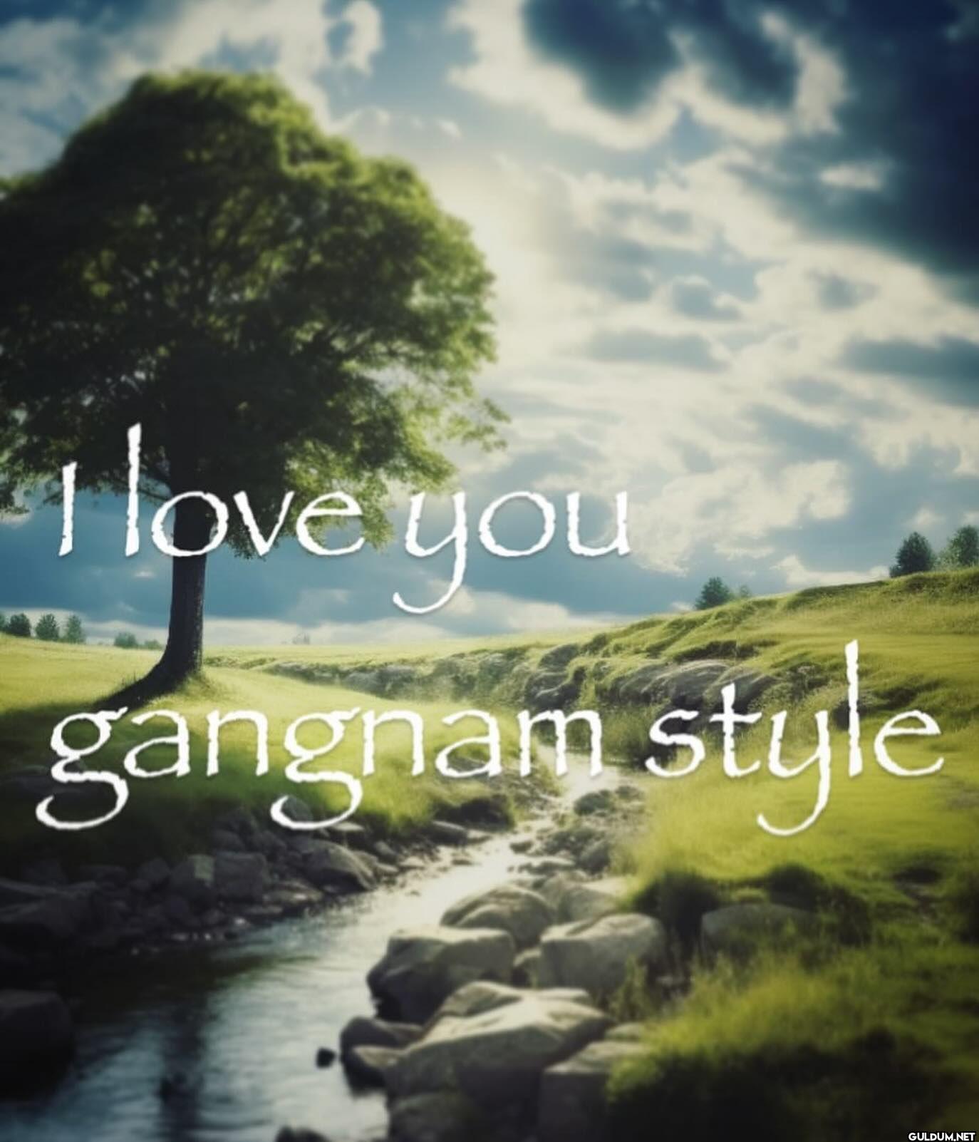 I love you gangnam style