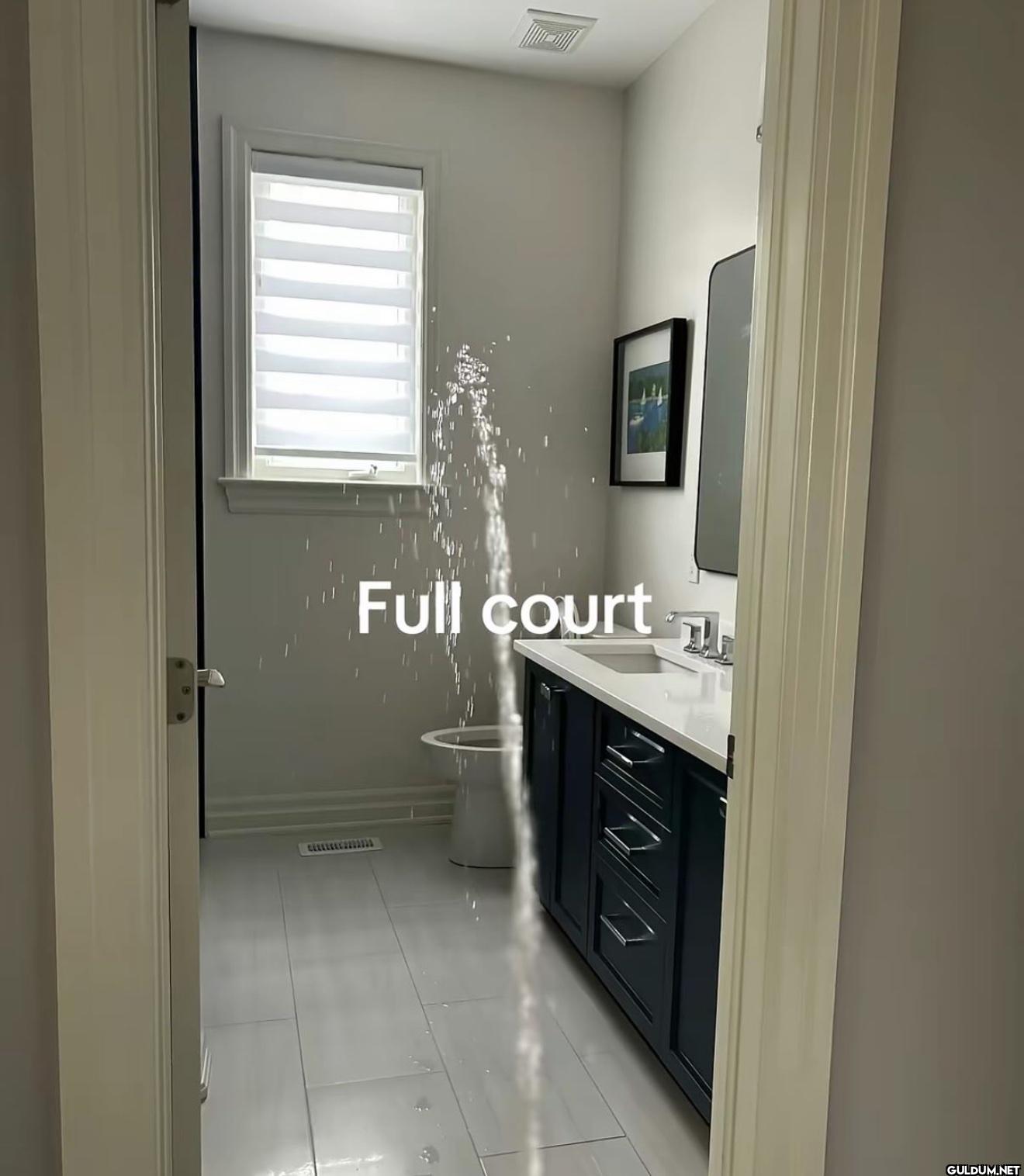 Full court 33333333