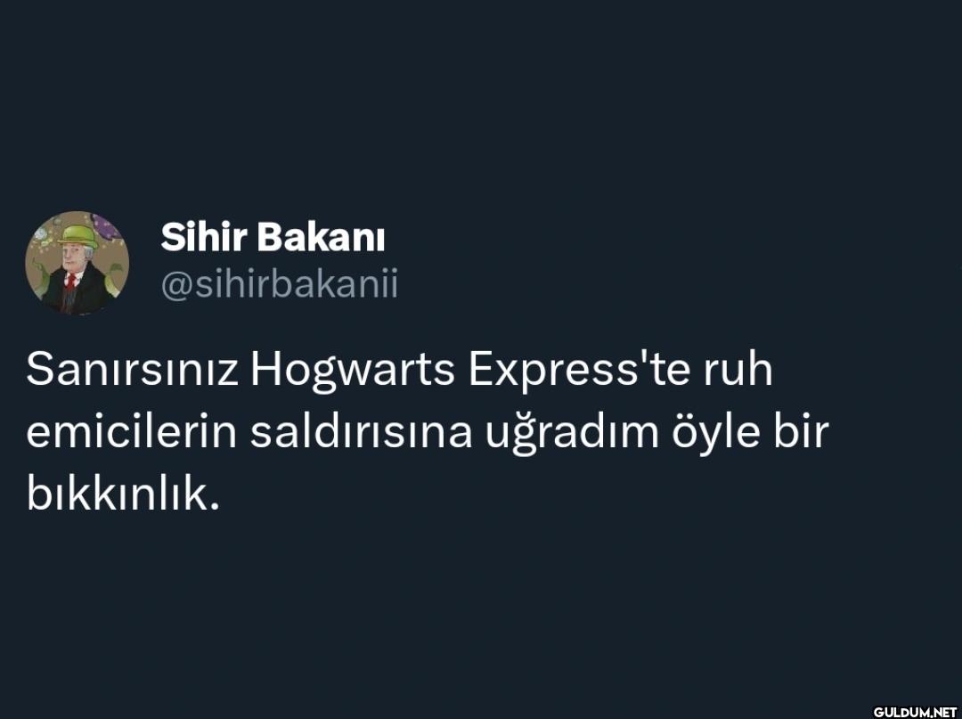 Sanırsınız Hogwarts...