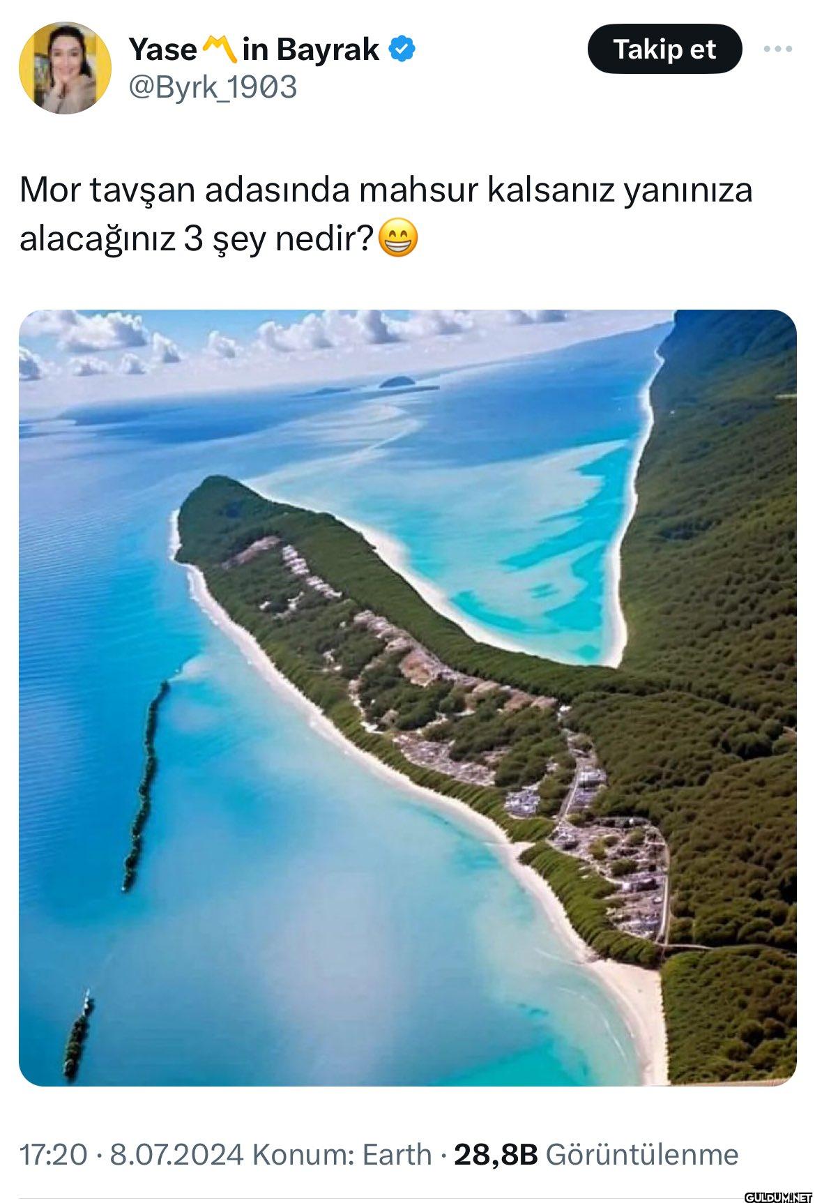 Takip et Mor tavşan...
