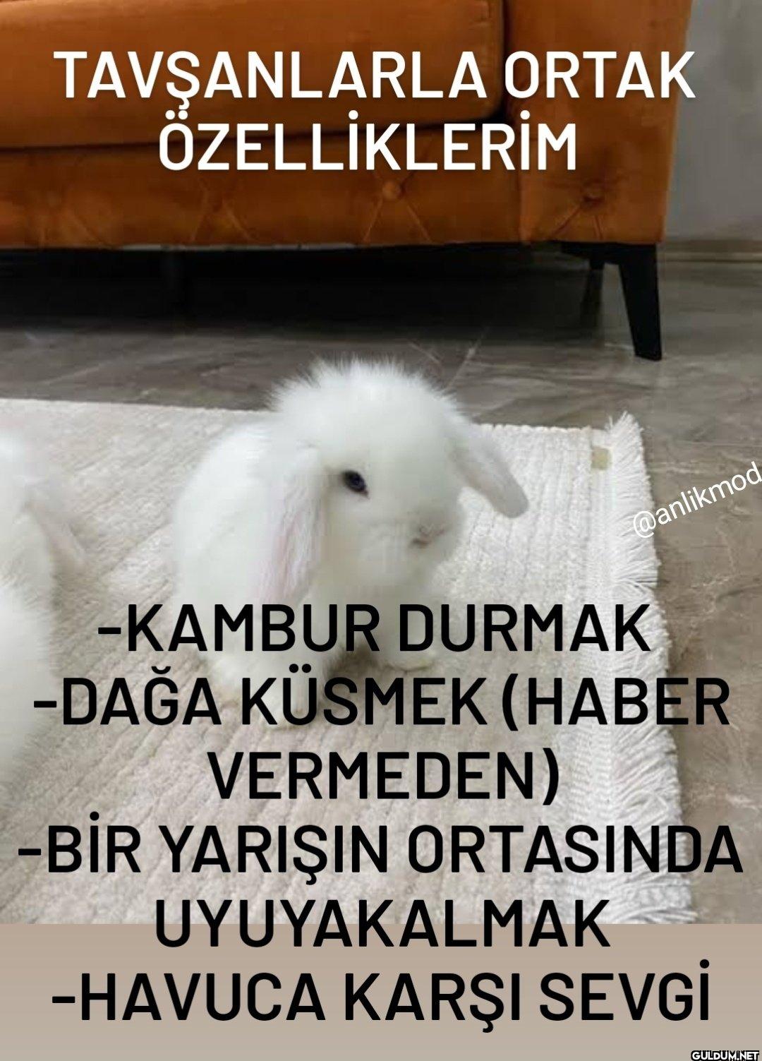 -KAMBUR DURMAK -DAĞA...