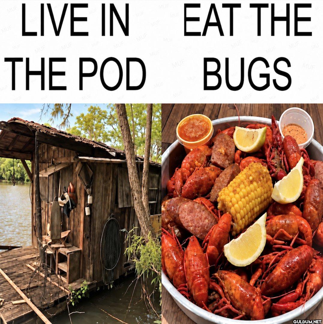 LIVE IN THE POD EAT THE BUGS