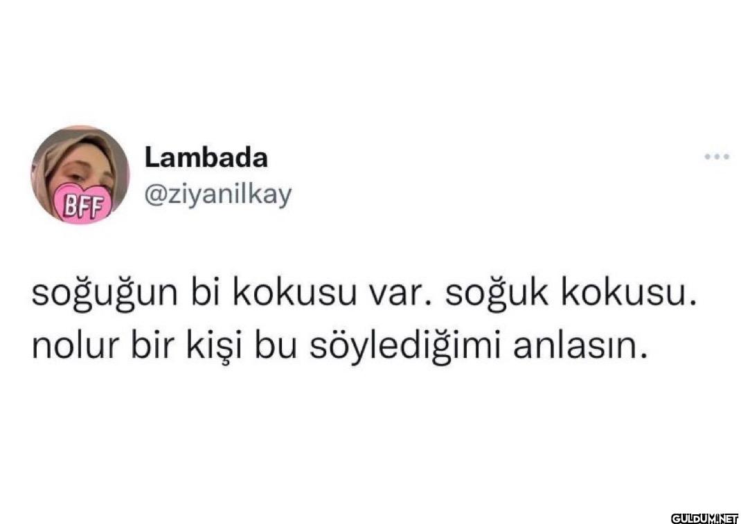 soğuğun bi kokusu var....