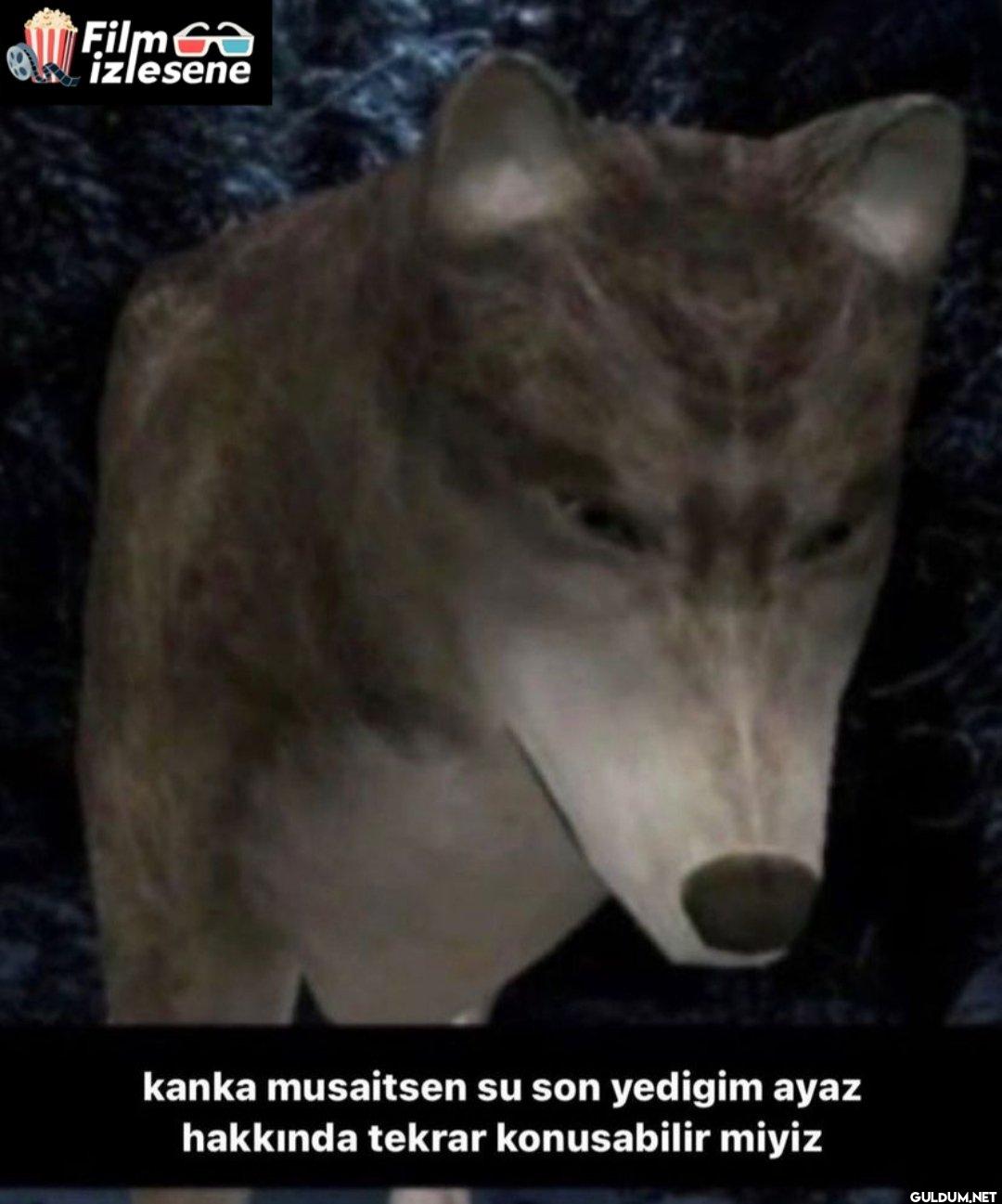 Film izlesene kanka...