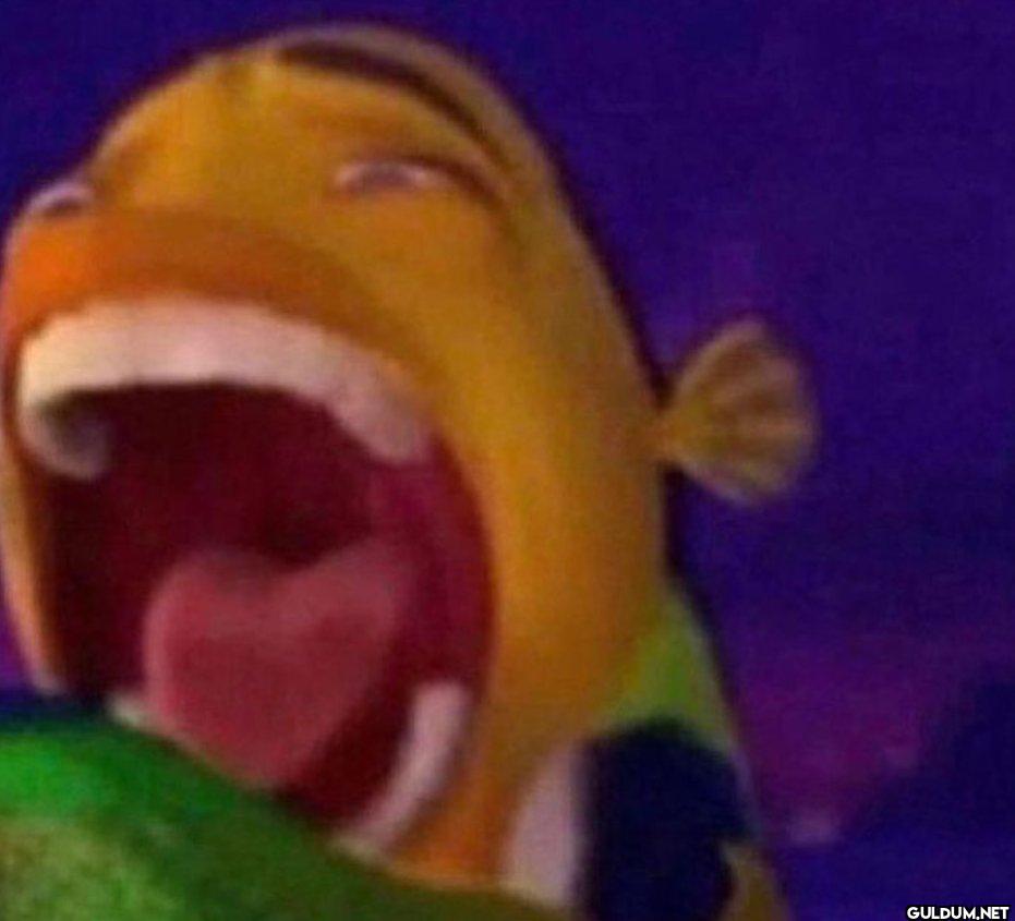 me laughing at a joke i...