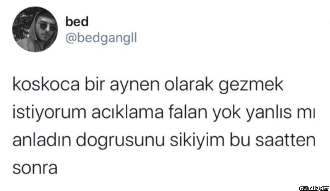 koskoca bir aynen olarak...