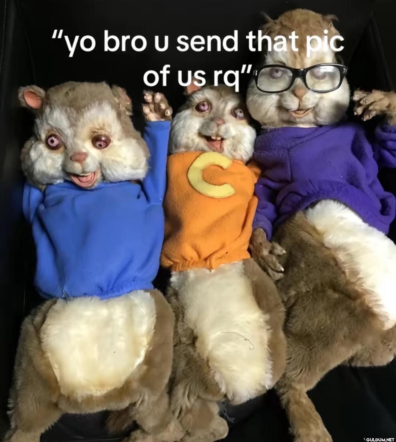 "yo bro u send that pic of us rq"