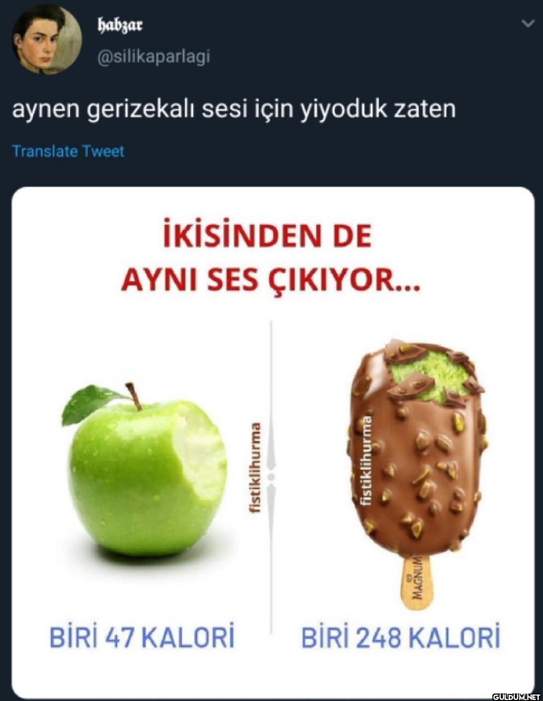 aynen gerizekalı sesi için...