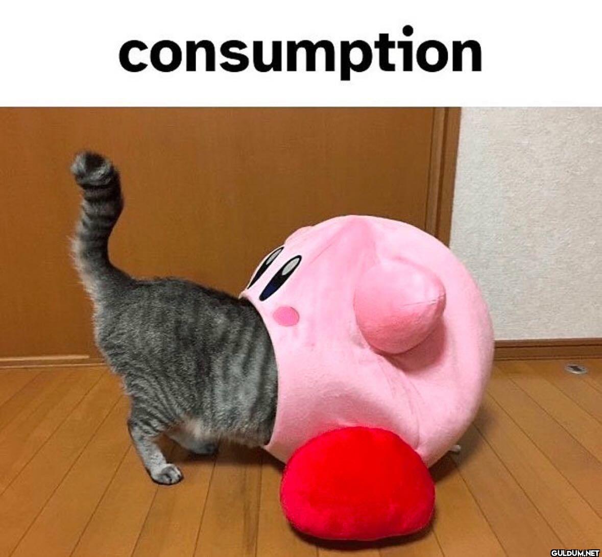 consumption
