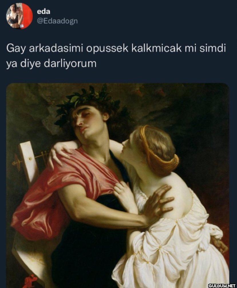 Gay arkadasimi opussek...