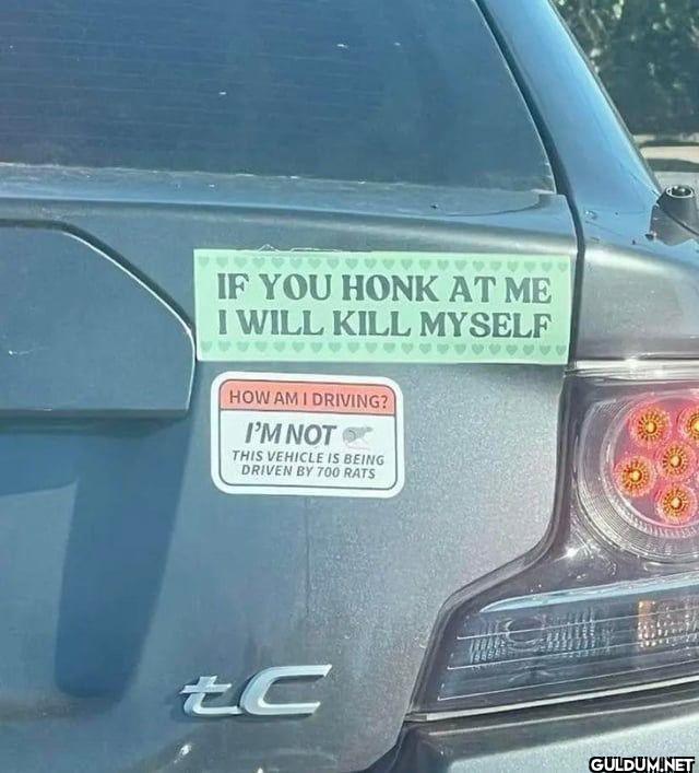 IF YOU HONK AT ME I WILL...