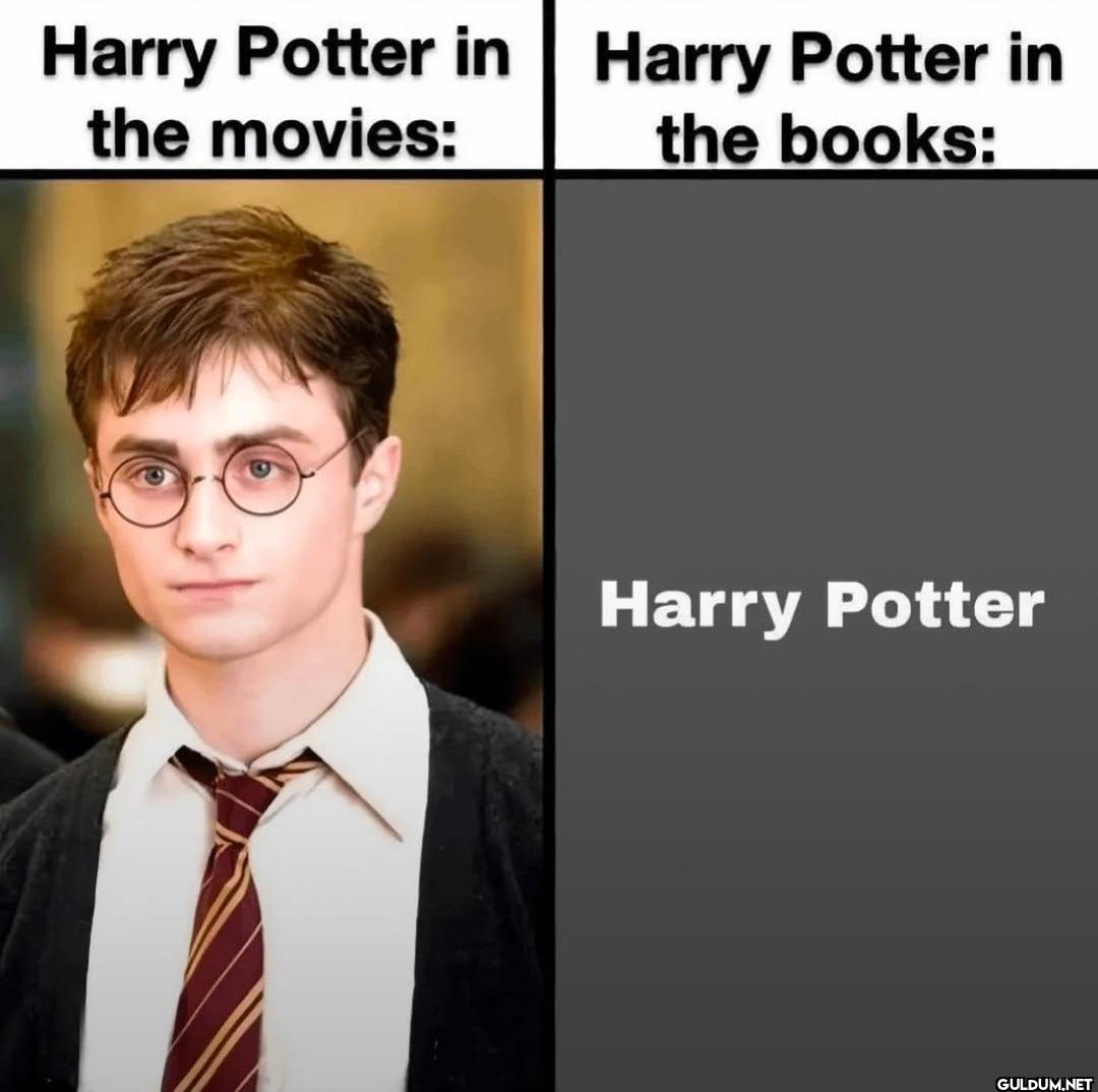 Harry Potter in the...