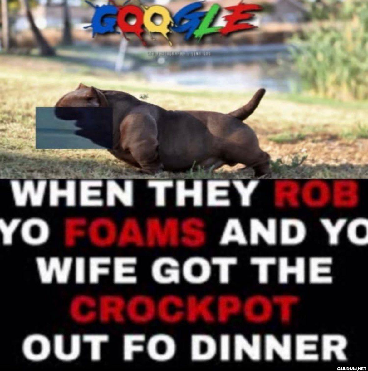 GOOGLE WHEN THEY ROB YO...