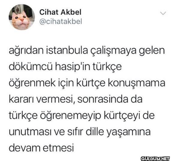 ağrıdan istanbula...