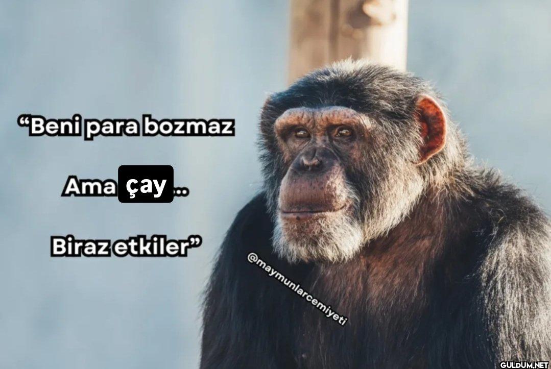 "Beni para bozmaz Ama...