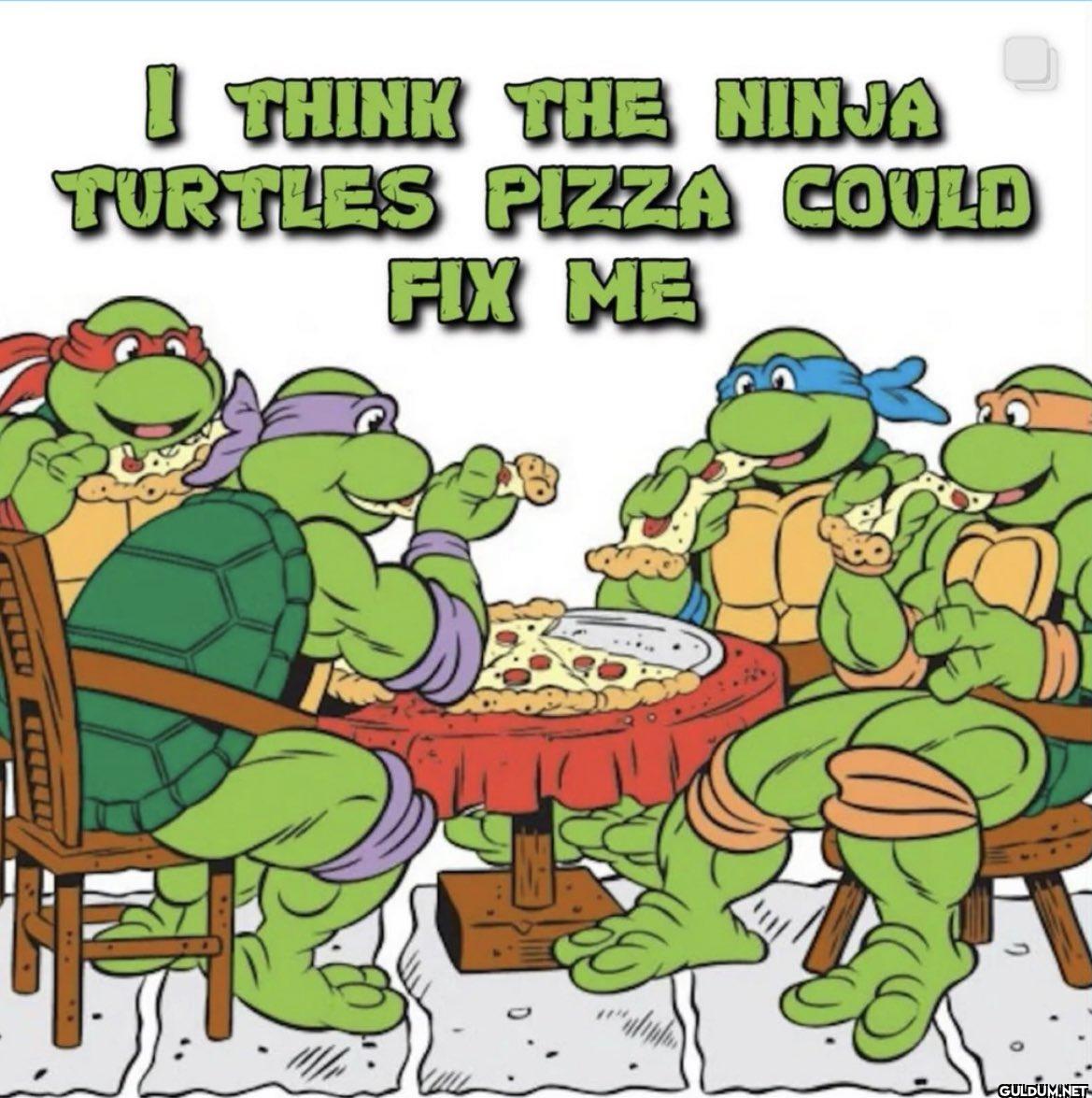 I THINK THE NINJA TURTLES...