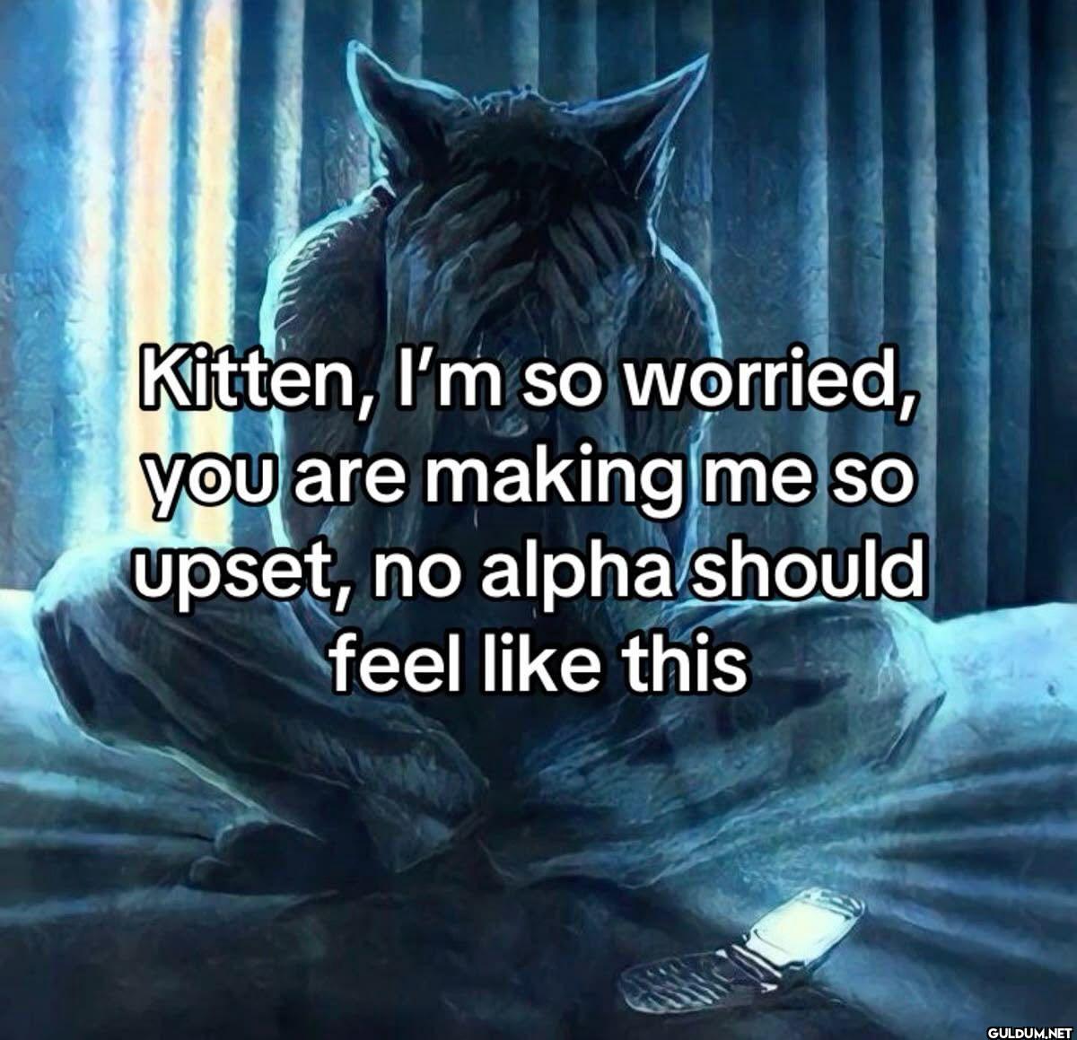 Kitten, I'm so worried,...