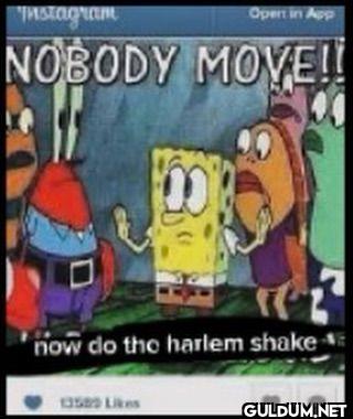 NOBODY MOVE!! now do the...