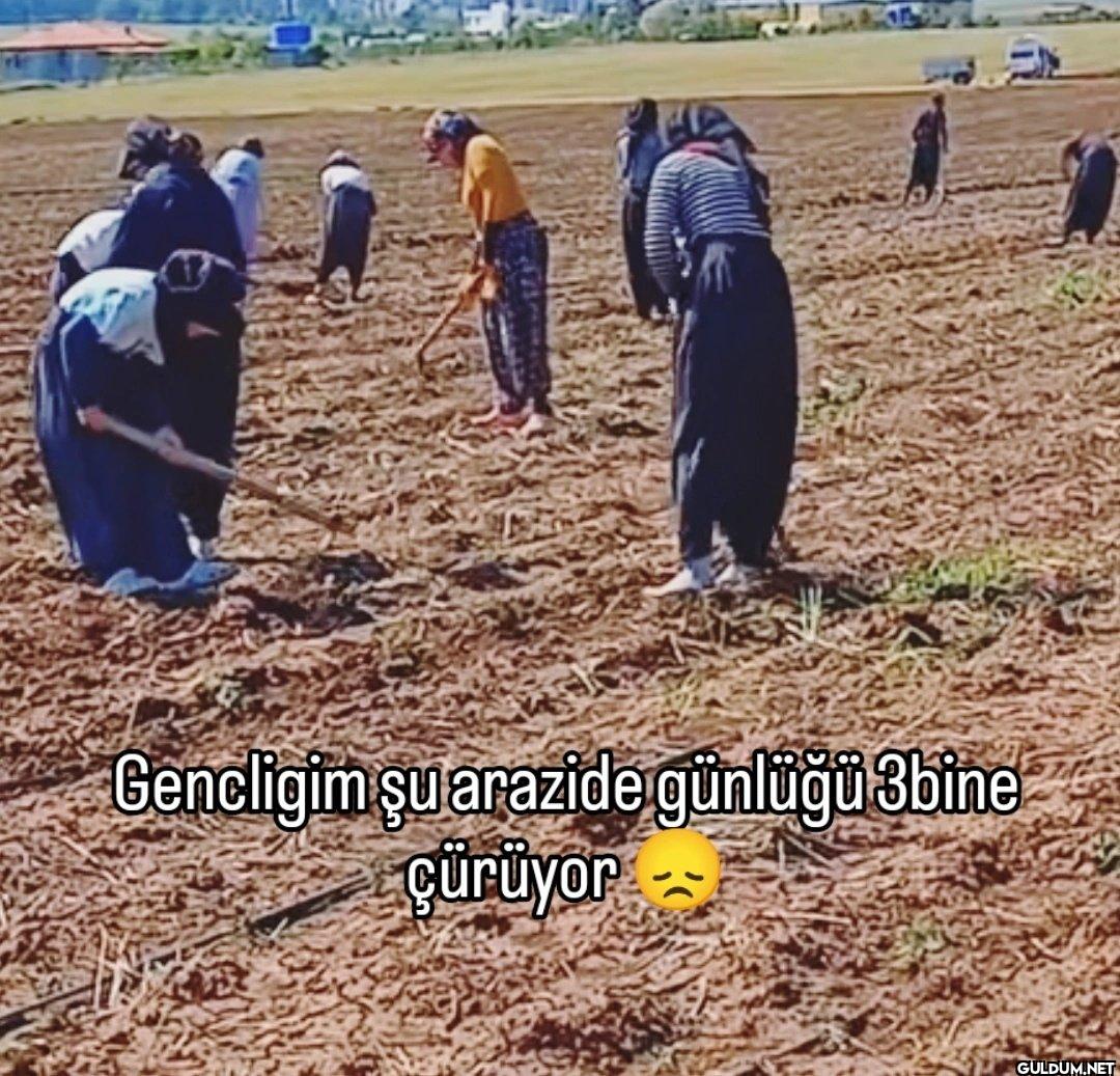 Gencligim şu arazide...