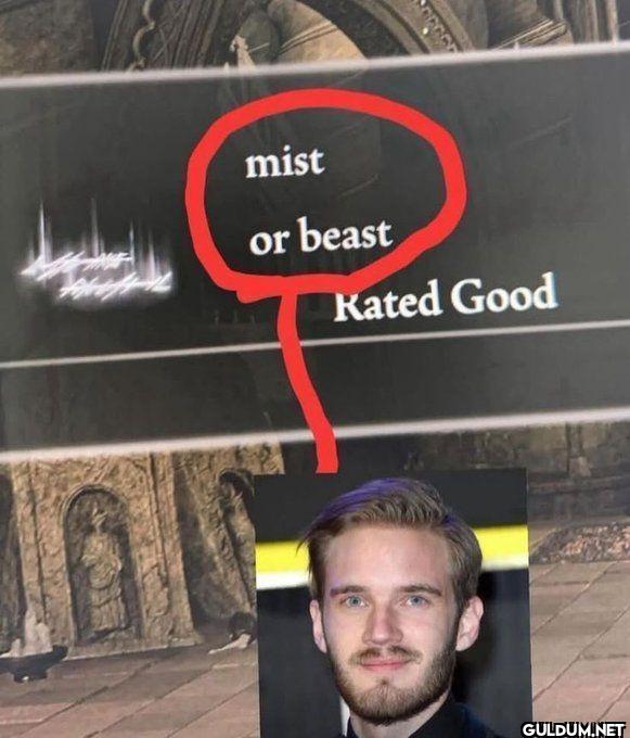 mist or beast Rated Good