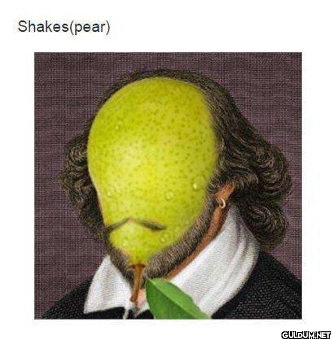 ︎ ︎ ︎ ︎    Shakes(pear)