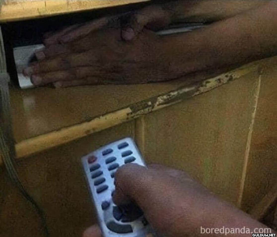 growing up with siblings,...