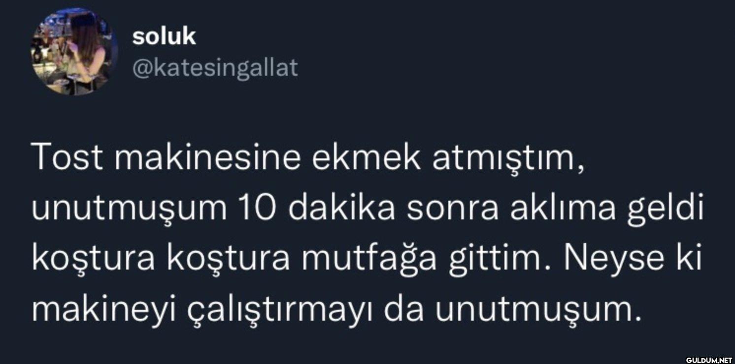 Tost makinesine ekmek...
