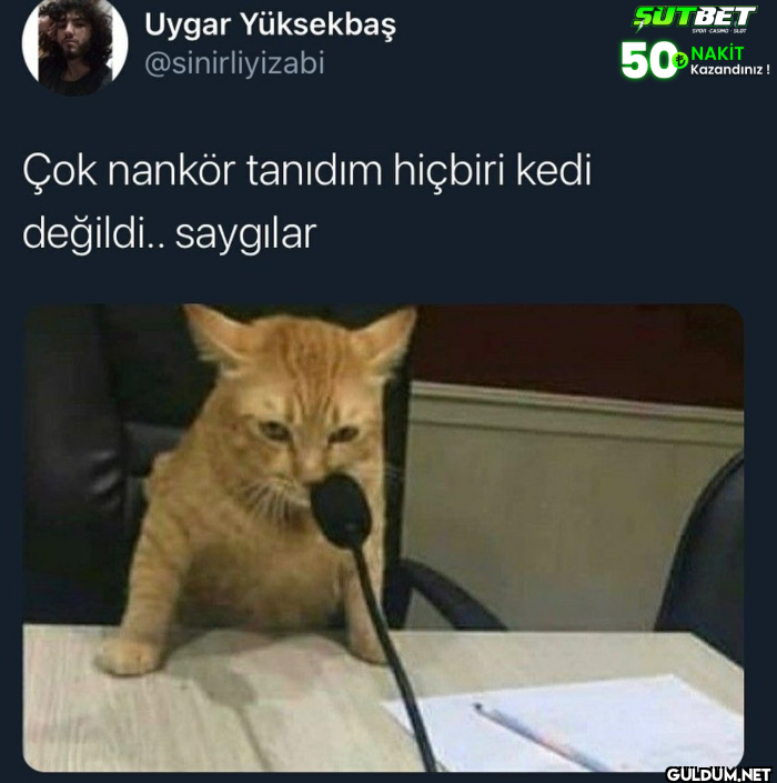 Çok nankör tanıdım hiçbiri...